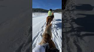 Trail riding in the snow