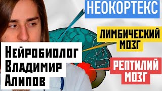 НЕОКОРТЕКС и РЕПТИЛИЙ МОЗГ (НЕЙРОБИОЛГИЯ: Владимир Алипов