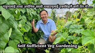 Self Sufficient Veg Gardening | Allotment Harvest | Gardening | Grow your own food | NepaliFamilyUK