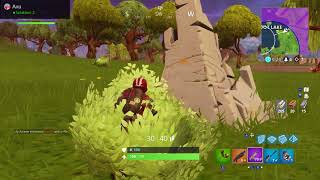 My first win! - Fortnite (Nintendo Switch)