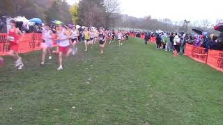 Class 3A Boys Race Highlights - IHSA State XC Championships 2024