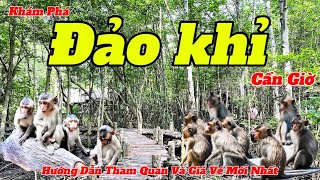 Khám Phá Đảo Khỉ Cần Giờ 2024 | Nơi Có Nhiều Khỉ Phá Phách Nhất Hiện Nay | Hướng Dẫn Chi Tiết