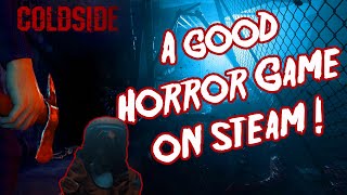 Coldside But It's a Good Horror Game on Steam!