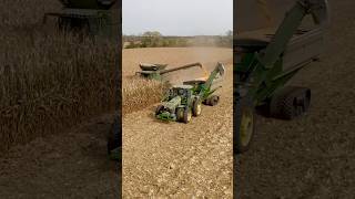 John Deere Harvest 2024 #johndeere  #cornharvest #farming #ag #drone #harvest2024 #shorts