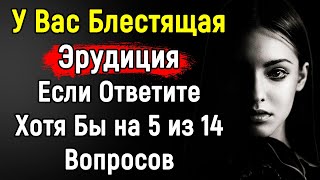 Увлекательный Тест По Эрудиции с Ответами | 14 вопросов | Эпоха Мысли