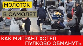 Мигрант выкрал в досмотровой зоне аэропорта молоток и хотел улететь в Узбекистан