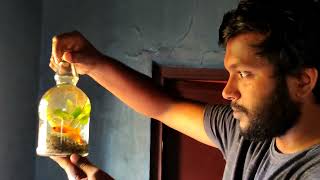 How To Make A Mini Aquarium At Home | Malayalam |Very Easy To Make A Mini Aquarium At Home