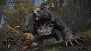 Elden Ring - The Only Good Bear Is A Dead Bear (in this game)