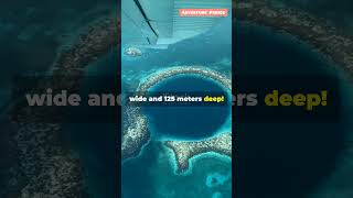 Exploring the Great Blue Hole in Belize: UNDERWATER PARADISE Discovery! #shorts #belize #bluehole