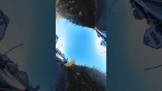 Insta360 Horizon Flip Running