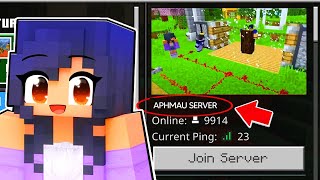 Whats On Aphmaus SECRET Minecraft SERVER?