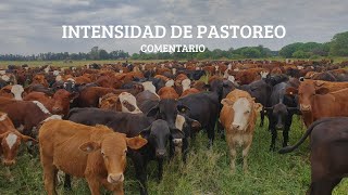 INTENSIDAD DE PASTOREO - COMENTARIO