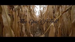 Rokinon Fall Video Contest 2017 Submission: The Epic Of Fall