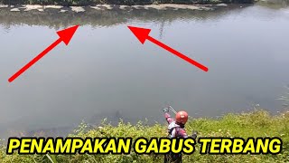 HEBAT...SAMPAI TERBANG ||KETAPEL IKAN|| #viral #trending #ketapelikan #slingshotfish