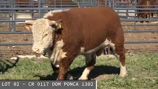 LOT 2   CR 9117 DOM PONCA 1302