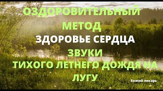 Оздоровительный метод здоровое сердце, звуки природы, тихий, теплый летний дождь на лугу