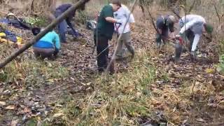 Project YESS (Youth Employability Support Services) Tree Planting