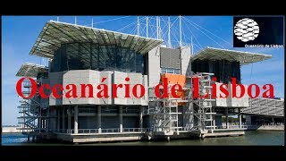 Oceanário de Lisboa!! OKYANUS CANLILARINI LİZBON'da KEŞFETTİK!!