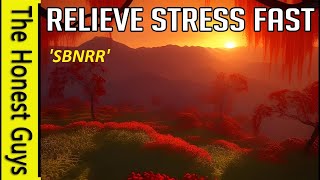 6 Minute Stress Relief (SBNRR)