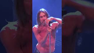 🌟 Iggy Pop — The Passenger (live) — 2023