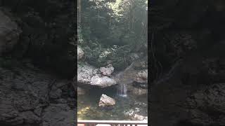 #viral#fypシ #shortvideo #shorts #trend #tiktok #fypシ゚viral #nature #water #waterfall #fyp #beautiful