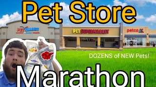 Buying an Animal at EVERY PET STORE in Town!! (dozens of new animals)