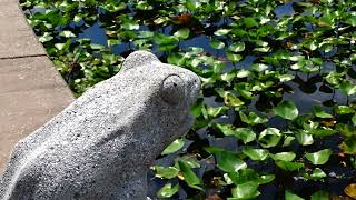 Baisley's Pond