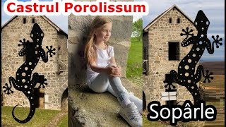 Am gasit şopârla la Castrul Porolissum - Melisa show