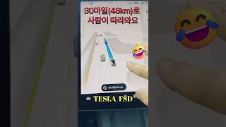 넌 누구냐? 속도 30마일(48킬로)로 사람이 따라와요 #shorts #tesla #elonmusk #automobile #teslafsd #fullselfdriving