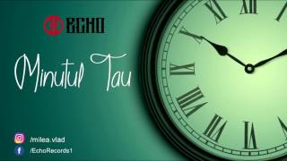 Echo - Minutul Tau (ScurtMesaj)