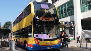 [重陽節][前新巴]Hong Kong Bus Alexander Dennis Enviro500 MMC CityBus CityBus 41117 ZF3793 @388柴灣🔄柴灣墳場/歌連臣角