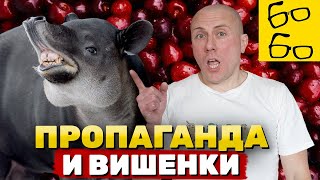 ЧЕРРИ-ПИКИНГ — подлая манипуляция или логическая ошибка? День рождения Грандмастера / Рычаг мозга