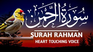 Surah Rahman | Surah Rahman Heart Touching Recitation | Episode 207