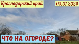 Краснодарский край. Что на огороде?(03.01.2024)