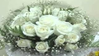 doce rosas.wmv lorenzo antonio