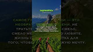 Живи свою жизнь красиво 🎯 #рекомендации #shortsvideo #успех #shortvideo #философия #youtubeshorts