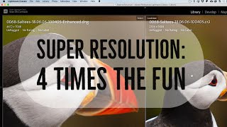 Super Resolution: Making your raw file FOUR times larger and still raw!