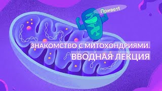 Интересное о митохондриях (вводная лекция)