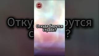 Откуда берутся страхи?