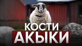 Можно ли ломать кости акыки?