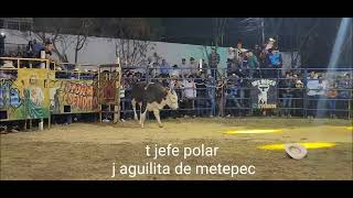 jefe polar de destructores con aguilita de metepec  en tejalpa morelos  2023