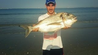 SURFCASTING DORADA 3,800kg EL PUERTO DE SANTA MARIA CADIZ, PESCA DORADA