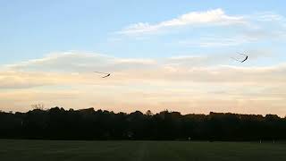 BASS Longest Day Fun Fly at the Polo Field combat.