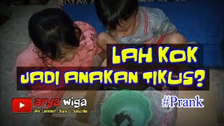 PRANK NESYA DAN ARZHAN || LUCU DIKIRA HAMSTER TERNYATA ANAK TIKUS