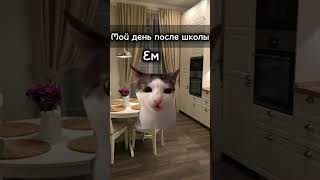 Пов:мой день после школы #youtube #подписки #рекомендации #polly_k #кисы