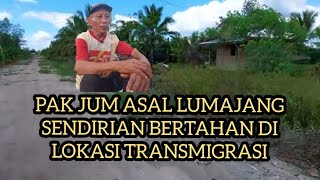 PAKJUM NEKAT BERTAHAN MESKIPUN LAHAN SEWA YG DI GARAP DITRANSMIGRASI BULUNGAN KALIMANTAN UTARA