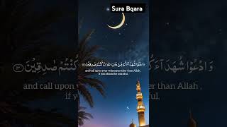 Sura Al Baqarah quickly recited. #shorts #viralvideo #islamic