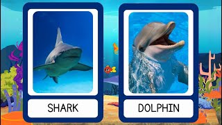 Amazing Sea Animals for Kids | Aprende con Gael y Owen