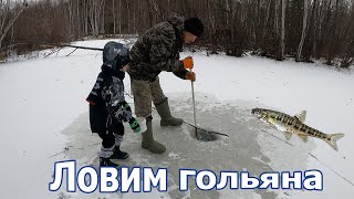 Ловим гольяна, скучали по льду, подстрелили "зайца"