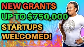 Grants Up to $750,000 for Small Businesses and Non-Profits